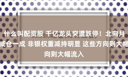 什么叫配资股 千亿龙头突遭跌停！北向月内已减仓一成 非银权重减持明显 这些方向则大幅流入