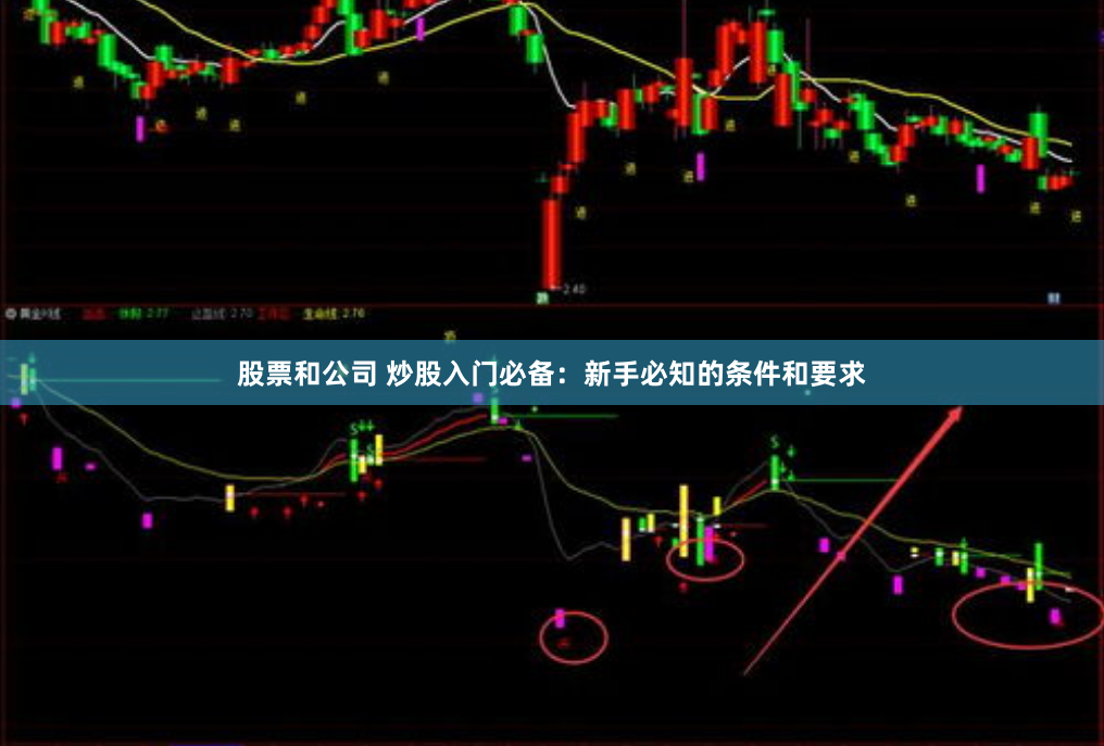股票和公司 炒股入门必备：新手必知的条件和要求
