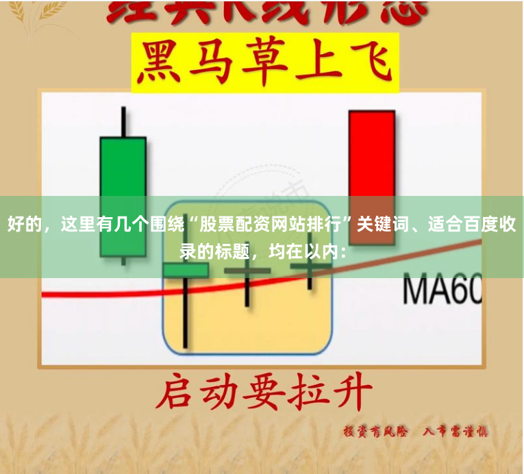 好的，这里有几个围绕“股票配资网站排行”关键词、适合百度收录的标题，均在以内：