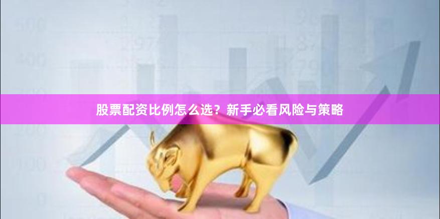 股票配资比例怎么选?新手必看风险与策略
