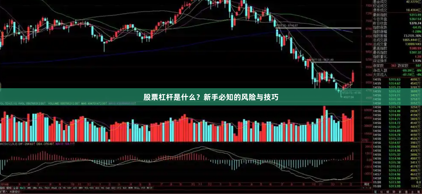 股票杠杆是什么？新手必知的风险与技巧